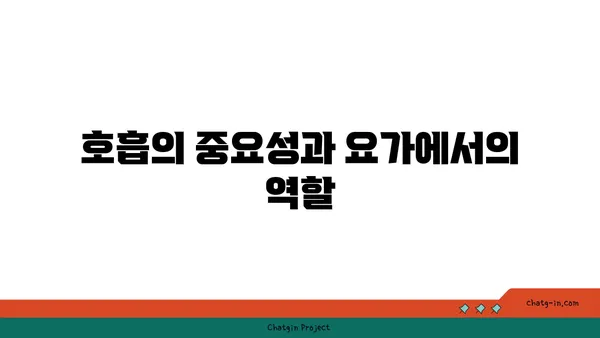 호흡과 요가: 프라나야마의 이해