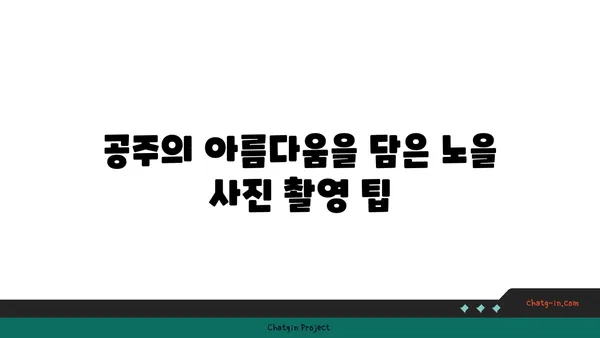 충남 공주에서 바라보는 노을의 명소: 청벽산 전망대