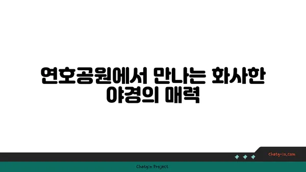 연호공원: 꽃과 야경으로 물든 밤 산책