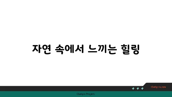 울진 연호 공원: 야경 산책로와 자연의 아름다움