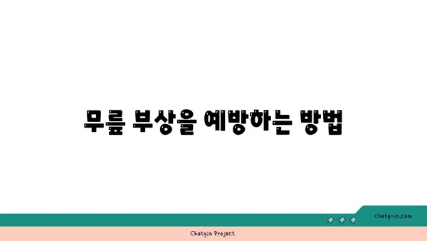 무릎 강화 요가 스트레칭 루틴