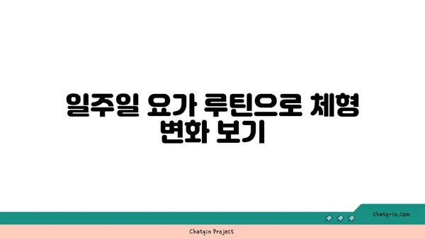20대 여성의 체형 개선 요가 루틴