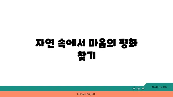 명상과 함께하는 요가로 마음의 평화 찾기