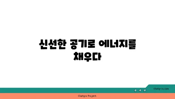 자연 속에서 진행하는 야외 요가의 장점