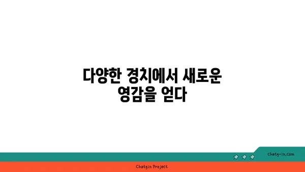 자연 속에서 진행하는 야외 요가의 장점