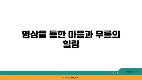무릎 통증 예방 요가 명상법