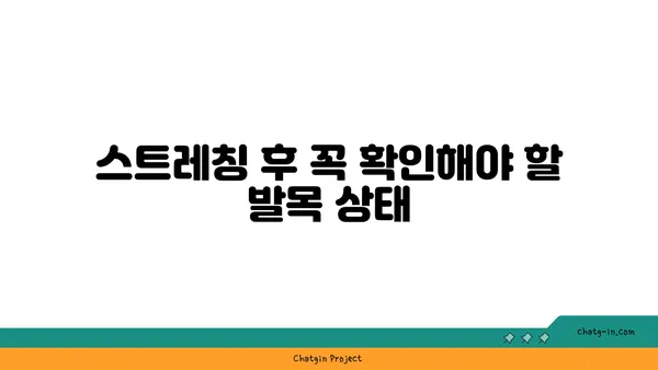 발목 통증 완화를 위한 하타 요가 스트레칭법