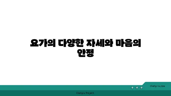 명상과 함께하는 요가로 마음의 평화 찾기