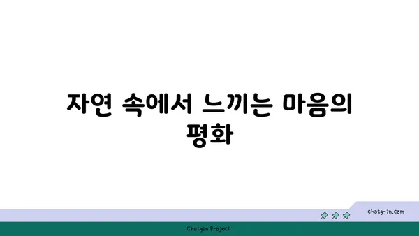 요가와 자연의 조화: 야외 수련의 장점