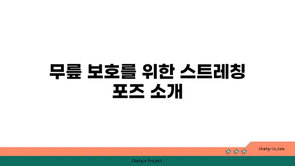 무릎에 부담을 주지 않는 요가 루틴
