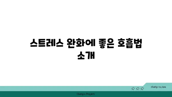 스트레스 많은 현대인을 위한 요가 추천