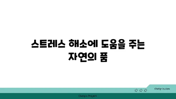 자연 속에서 진행하는 야외 요가의 장점