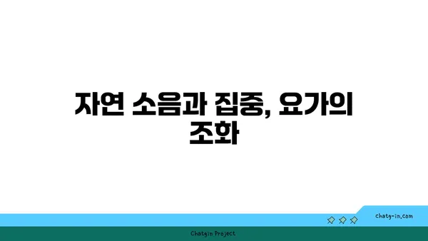 소음과 집중: 요가에서의 환경 조절법