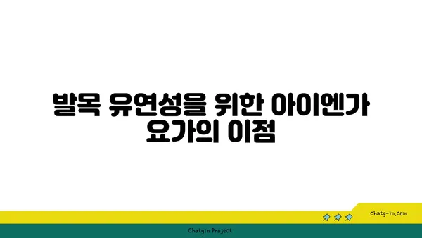 발목 유연성을 높이는 아이엔가 요가 동작