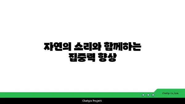 요가와 자연의 조화: 야외 수련의 장점