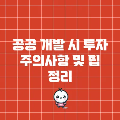 공공 개발 시 투자 주의사항 및 팁 정리