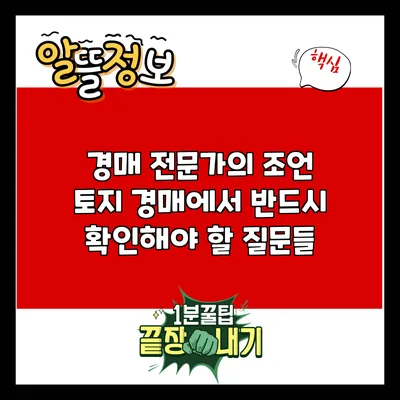 경매 전문가의 조언: 토지 경매에서 반드시 확인해야 할 질문들