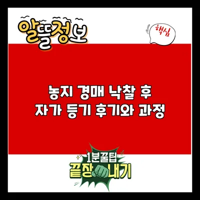 농지 경매 낙찰 후 자가 등기 후기와 과정