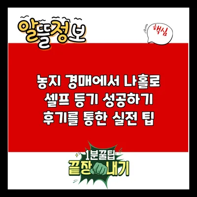 농지 경매에서 나홀로 셀프 등기 성공하기: 후기를 통한 실전 팁