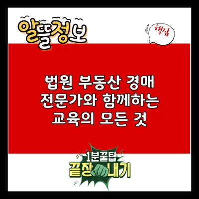 법원 부동산 경매 전문가와 함께하는 교육의 모든 것
