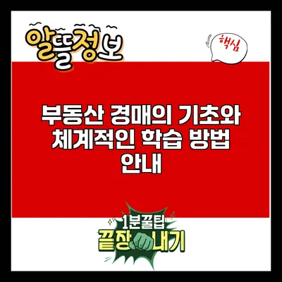 부동산 경매의 기초와 체계적인 학습 방법 안내