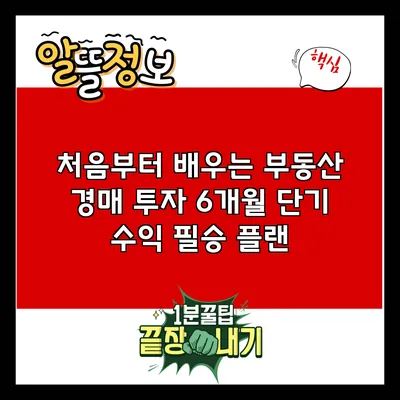 처음부터 배우는 부동산 경매 투자: 6개월 단기 수익 필승 플랜