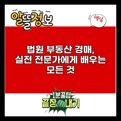 법원 부동산 경매, 실전 전문가에게 배우는 모든 것