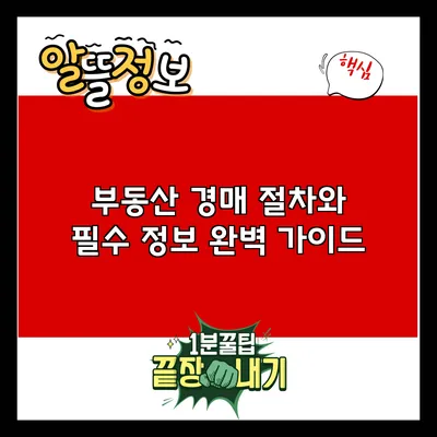 부동산 경매 절차와 필수 정보 완벽 가이드